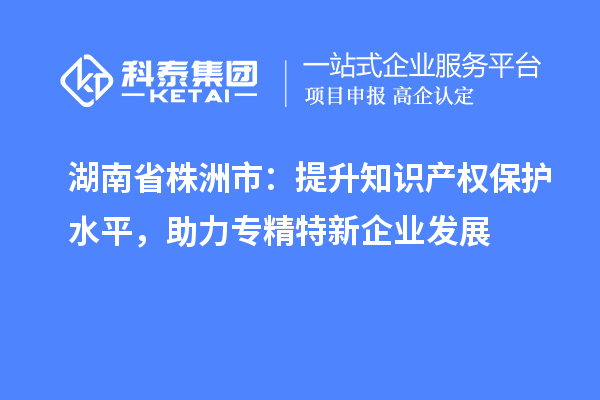 湖南省株洲市：提升知识产权保护水平，助力专精特新企业发展