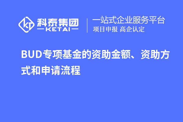 BUD专项基金的资助金额、资助方式和申请流程