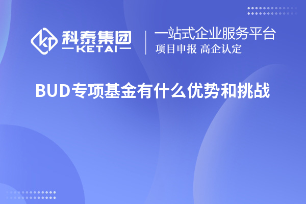 BUD专项基金有什么优势和挑战