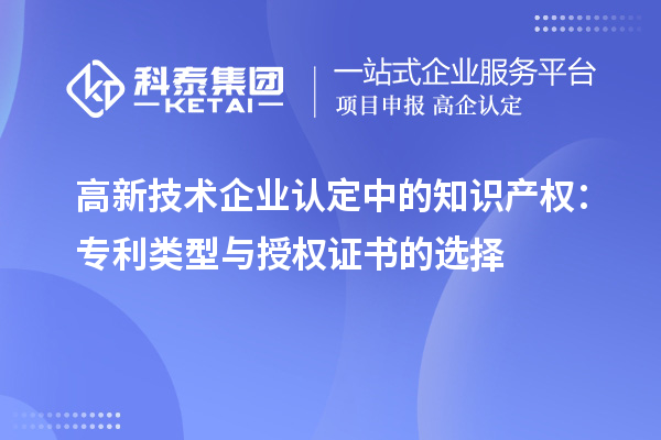 
中的知识产权：专利类型与授权证书的选择