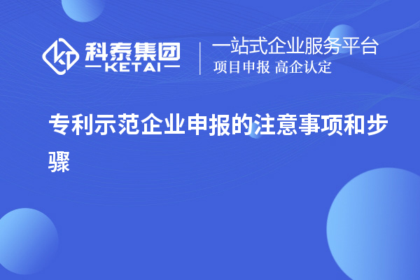 专利示范企业申报的注意事项和步骤