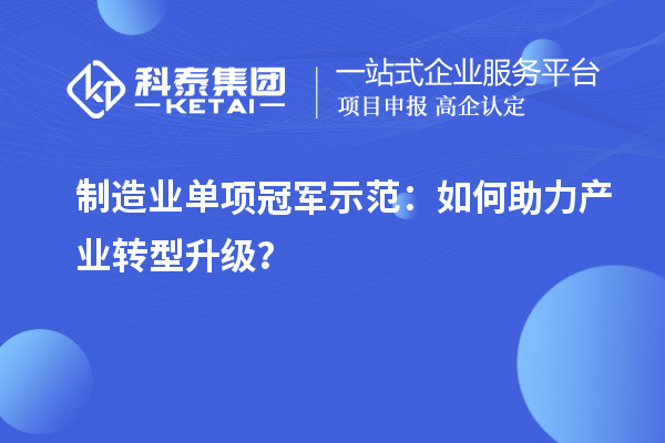 制造业单项冠军示范：如何助力产业转型升级？