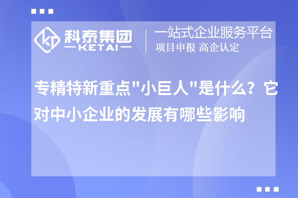 专精特新重点小巨人是什么？它对中小企业的发展有哪些影响