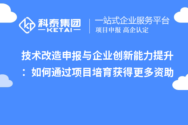 技术改造申报与企业创新能力提升：如何通过项目培育获得更多资助