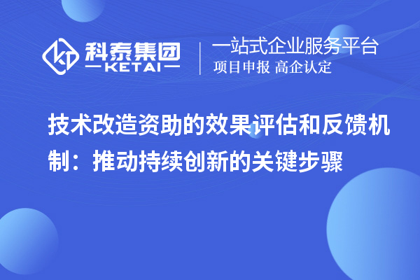 技术改造资助的效果评估和反馈机制：推动持续创新的关键步骤