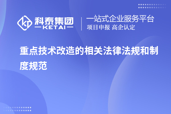 重点技术改造所涉及的法律法规和制度规范：解析与应用指南		 		