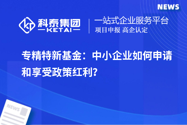 专精特新基金：中小企业如何申请和享受政策红利？