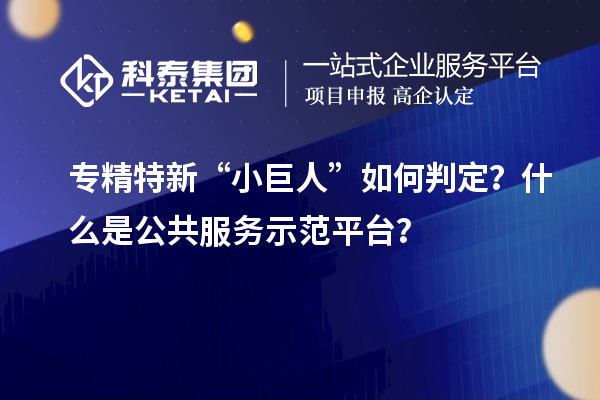 专精特新“小巨人”如何判定？什么是公共服务示范平台？