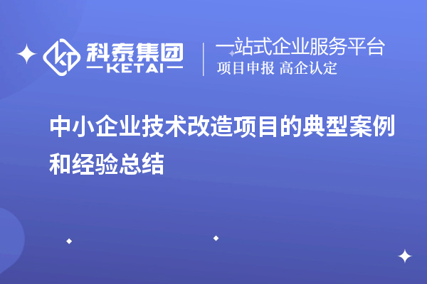 中小企业技术改造项目的典型案例和经验总结