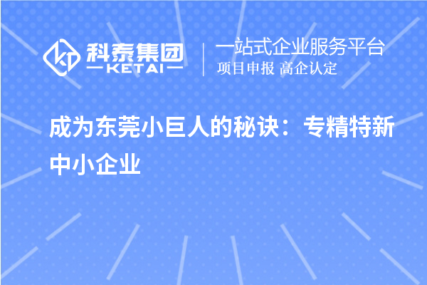 成为东莞小巨人的秘诀：专精特新中小企业