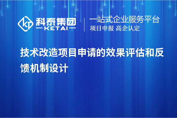 技术改造项目申请的成果评估与反馈机制探析		 		