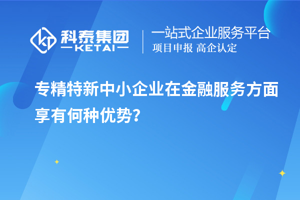 专精特新中小企业在金融服务方面享有何种优势？