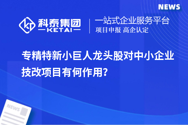 专精特新小巨人龙头股对中小企业技改项目有何作用？