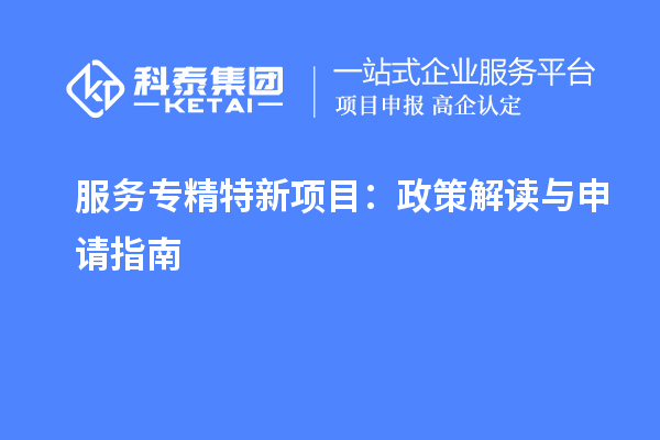 服务专精特新项目：政策解读与申请指南