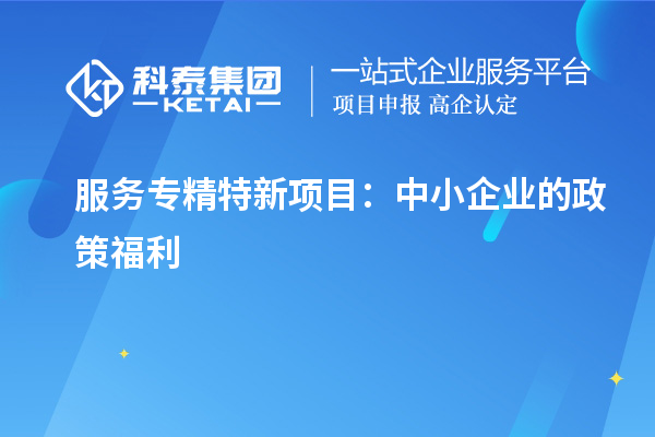 服务专精特新项目：中小企业的政策福利