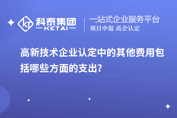 
中的其他费用包括哪些方面的支出？