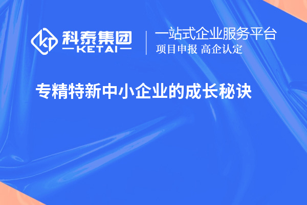 专精特新中小企业的成长秘诀