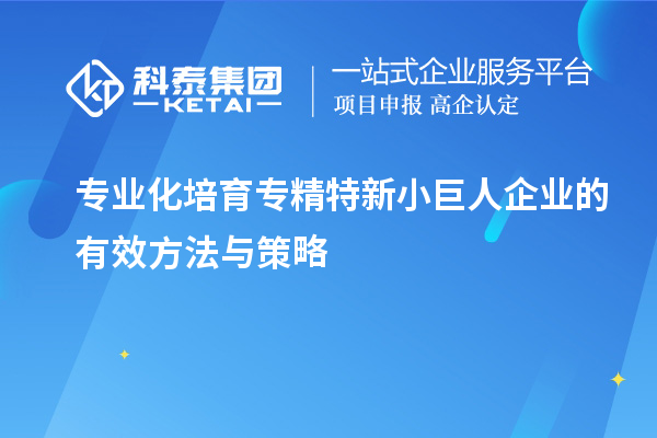 专业化培育专精特新小巨人企业的有效方法与策略		 		