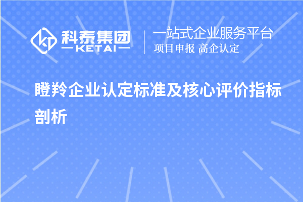 <a href=//m.auto-fm.com/fuwu/dengling.html target=_blank class=infotextkey>瞪羚企业认定</a>标准及核心评价指标剖析		 		