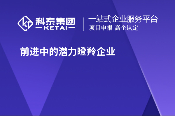 前进中的潜力瞪羚企业