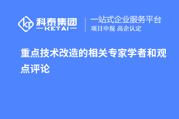  重点技术改造的相关专家学者和观点评论