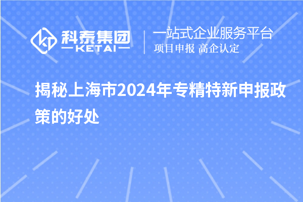 揭秘上海市2024年
政策的好处