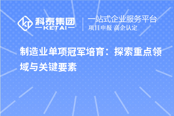 制造业单项冠军培育：探索重点领域与关键要素