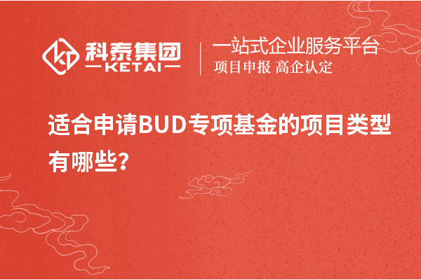 适合申请BUD专项基金的项目类型有哪些？