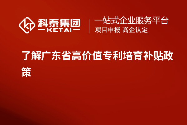 了解广东省高价值专利培育补贴政策