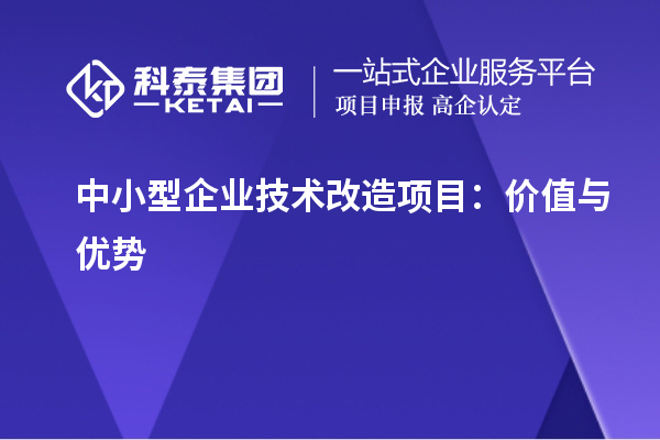 中小型企业技术改造项目：价值与优势	 		