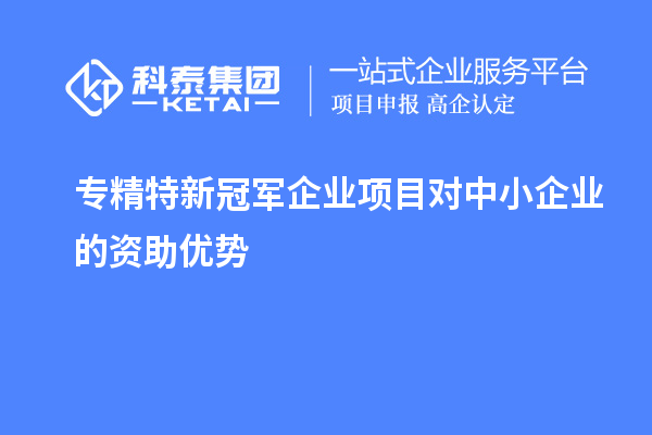 专精特新冠军企业项目对中小企业的资助优势