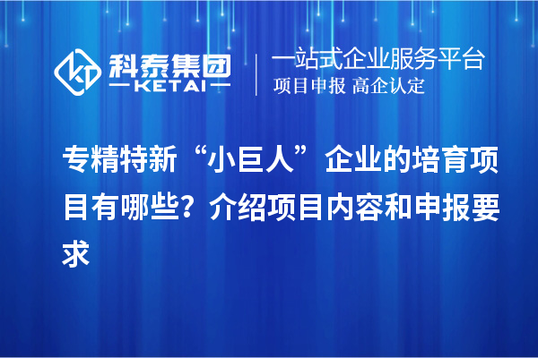 专精特新“小巨人”企业的培育项目有哪些？介绍项目内容和申报要求