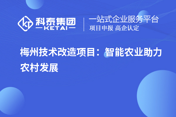 梅州技术改造项目：智能农业助力农村发展