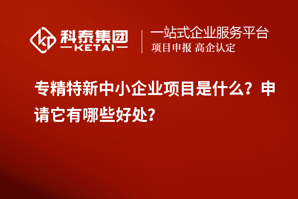 专精特新中小企业项目是什么？申请它有哪些好处？