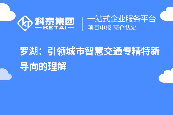 罗湖：引领城市智慧交通专精特新导向的理解