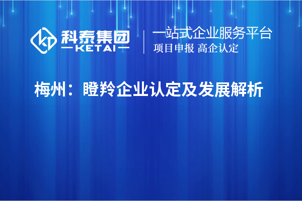 梅州：瞪羚企业认定及发展解析