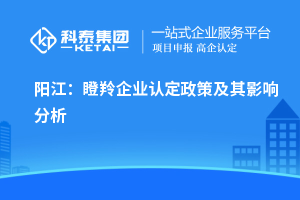 阳江：瞪羚企业认定政策及其影响分析