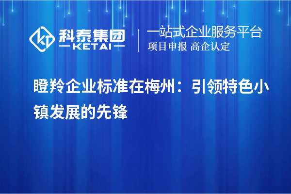 瞪羚企业标准在梅州：引领特色小镇发展的先锋