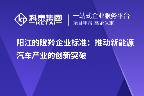 阳江的瞪羚企业标准：推动新能源汽车产业的创新突破