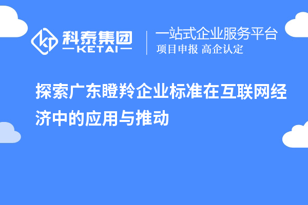 探索广东瞪羚企业标准在互联网经济中的应用与推动