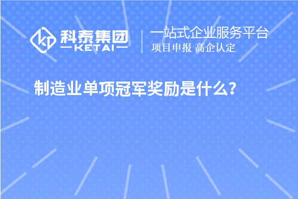 制造业单项冠军奖励是什么？