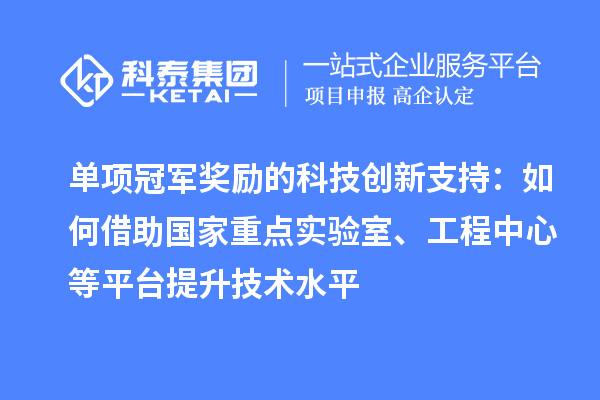 单项冠军奖励的科技创新支持：如何借助国家重点实验室、工程中心等平台提升技术水平