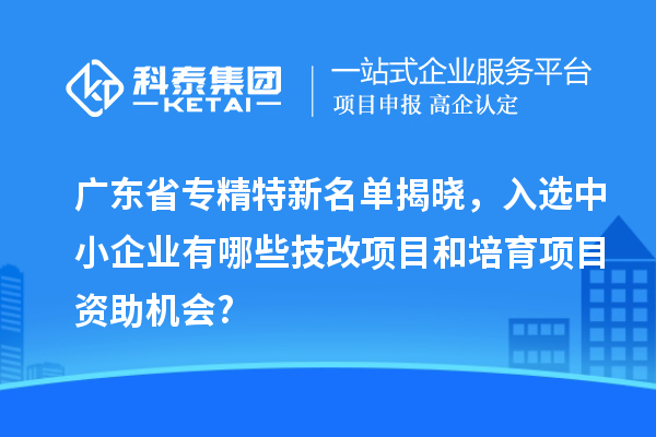 广东省专精特新名单揭晓，入选中小企业有哪些技改项目和培育项目资助机会?