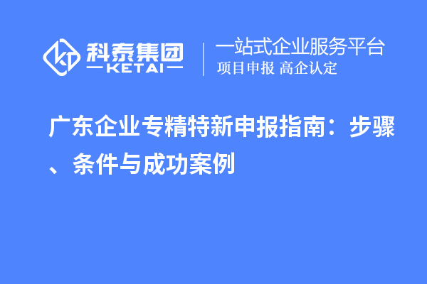 广东企业
指南：步骤、条件与成功案例