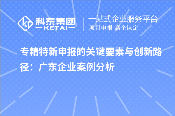 
的关键要素与创新路径：广东企业案例分析