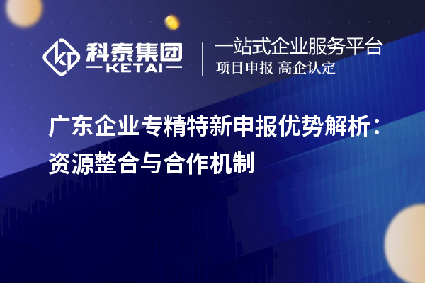 广东企业
优势解析：资源整合与合作机制