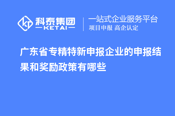 广东省
企业的申报结果和奖励政策有哪些