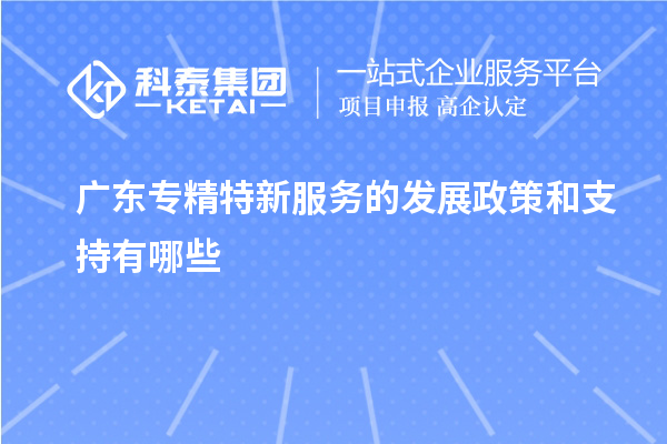  广东专精特新服务的发展政策和支持有哪些