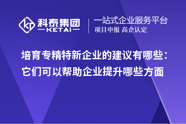 培育专精特新企业的建议有哪些：它们可以帮助企业提升哪些方面