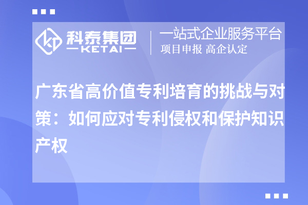 广东省高价值专利培育的挑战与对策：如何应对专利侵权和保护知识产权